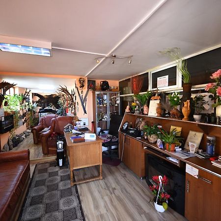דבה Pensiunea Dealul Viilor מראה חיצוני תמונה
